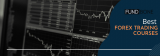 Best Forex Trading Courses